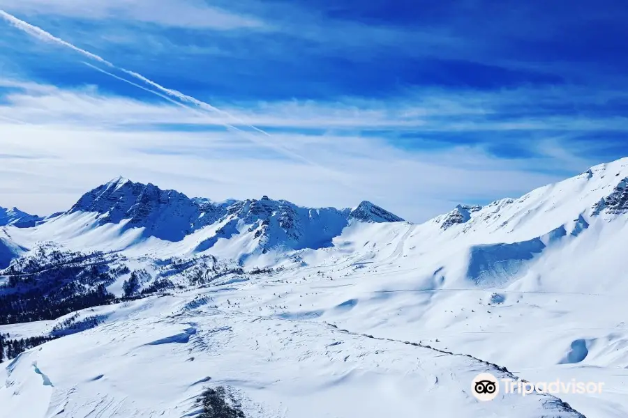 Vars la Forêt Blanche