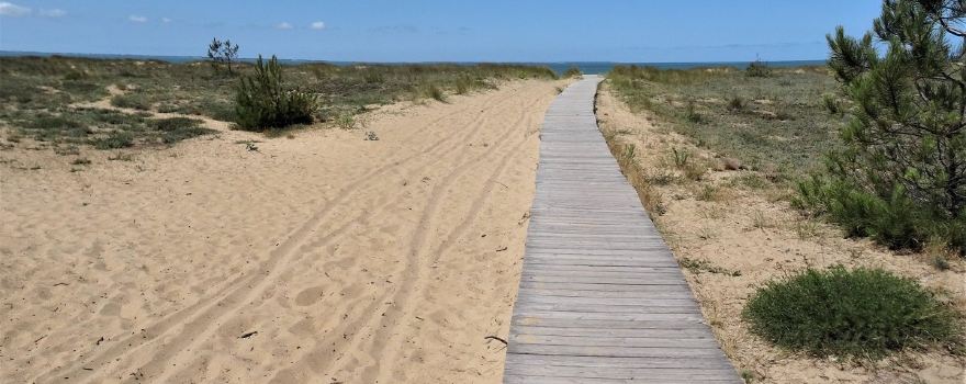Plage Naturiste de la Pointe d'Arçay