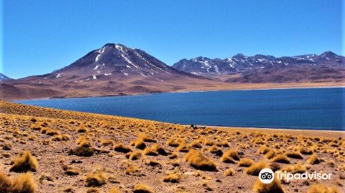 Lagunas Miscanti y Miniques