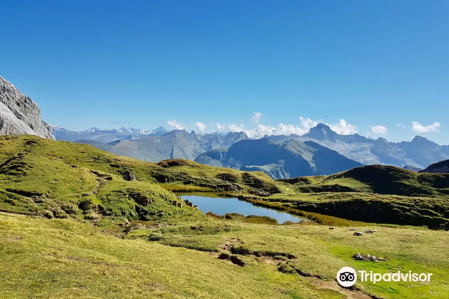 Lac de Peyre