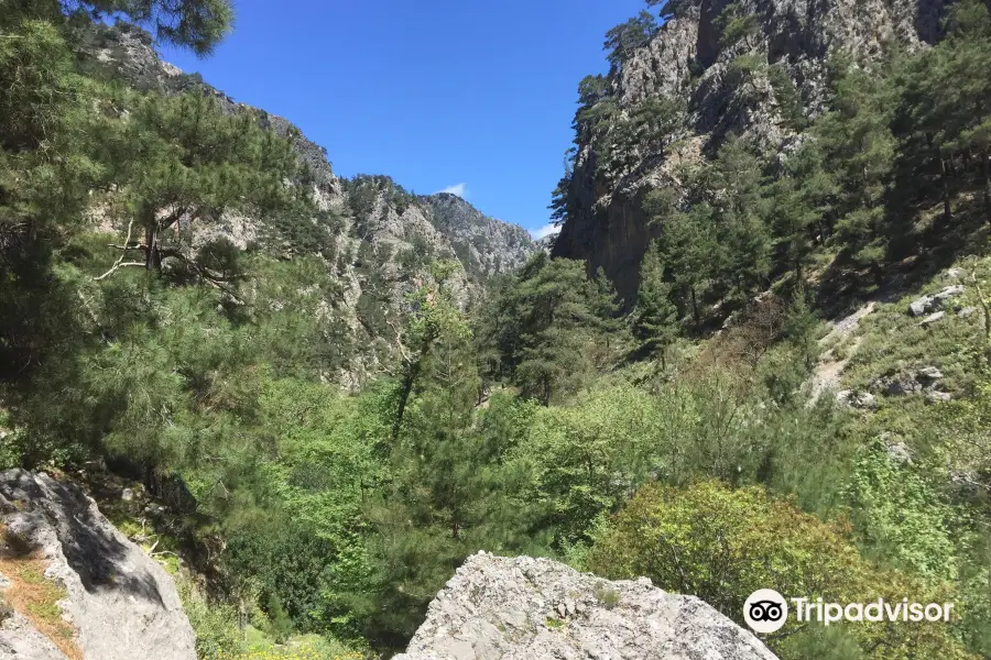 Agia Irini Gorge