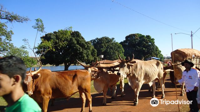 Carreirodromo de Trindade