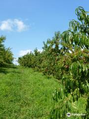 March Farms