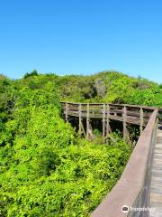 Turtle Mound National Historic Site