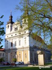 Cathédrale Saint-Jean-Baptiste de Trnava