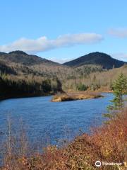 Laurentides Wildlife Reserve