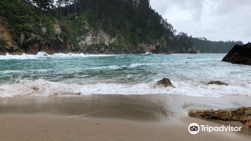 Pokohino Beach