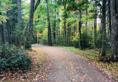 Colton Point State Park