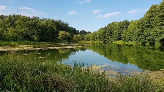 Niebieskie Zrodla Nature Reserve