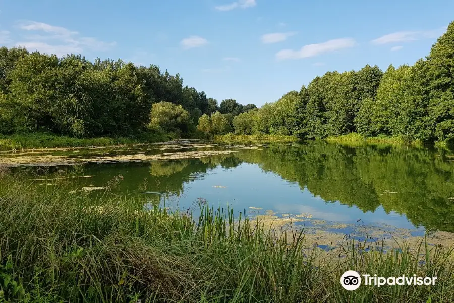 Niebieskie Zrodla Nature Reserve