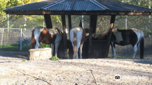 Zoological Garden Dahlholzli