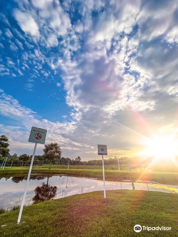 4_Lorong Halus Wetland