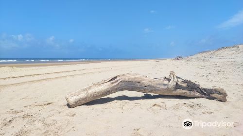 Plage du Vieux Phare