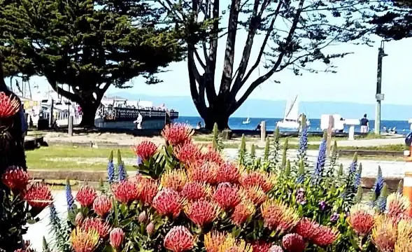 Hotels near Del Monte Beach