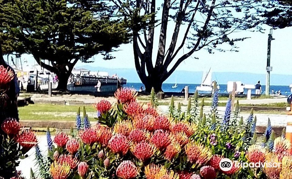 Del Monte Beach