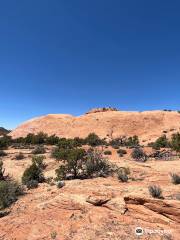 Whale Rock