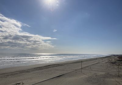 Kujukuri Beach