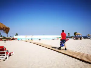 Live Beach Praia de Mangualde