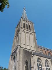 Grote of Martinikerk Doesburg