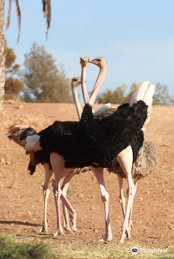 1_National Zoo Rabat Morocco