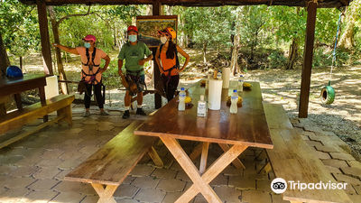 Monkey Jungle Zip Line Canopy Tour
