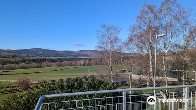 World Horse Welfare Belwade Farm