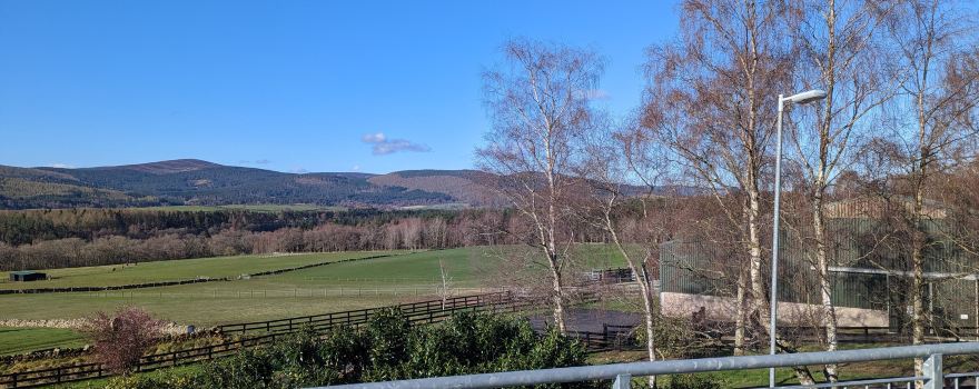 World Horse Welfare Belwade Farm