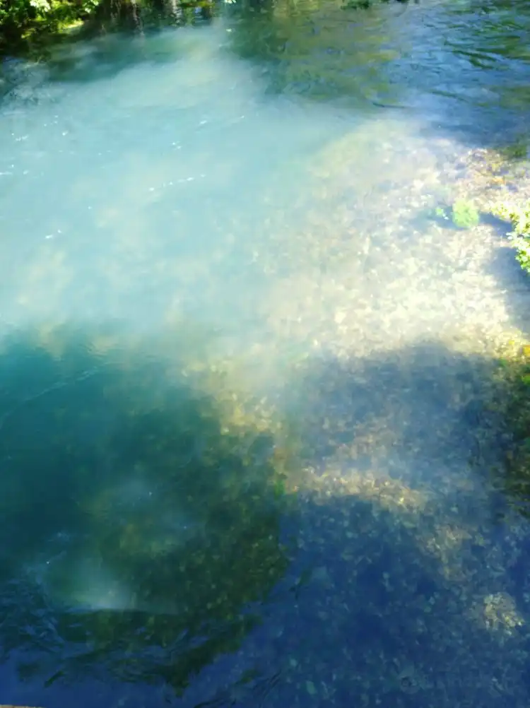 卡特縣住宿飯店