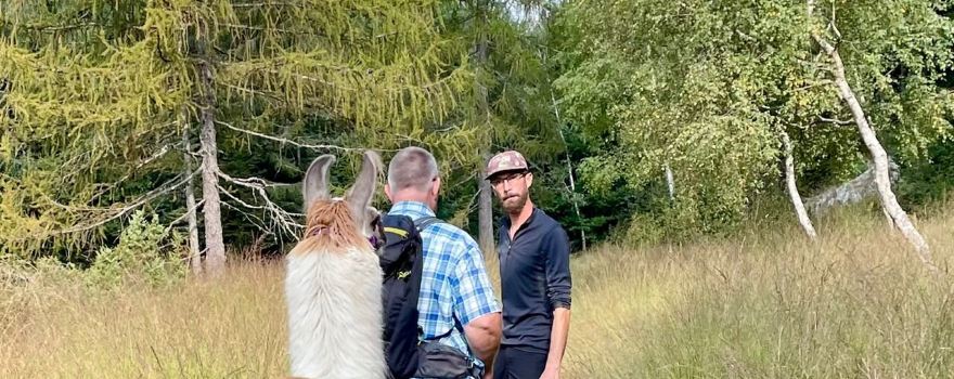 Lama Trekking Ticino