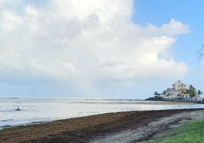 Palmas del mar beach