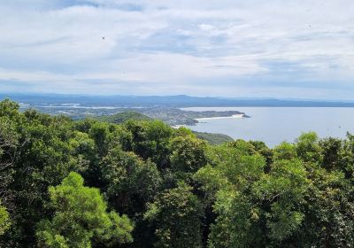 Cape Hawke lookout