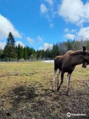 Elinge Elk Park