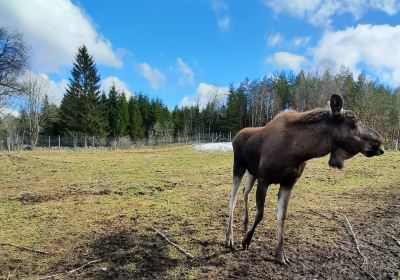 Elinge Elk Park