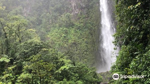 Carbet Falls (Les Chutes du Carbet)