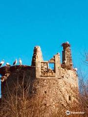 Ruines du château de la Rivière (château des cigognes)