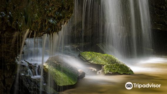 Nerstrand Big Woods State Park