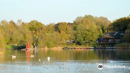 Southwater Country Park