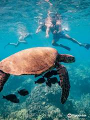 Makena Coast Dive Charters