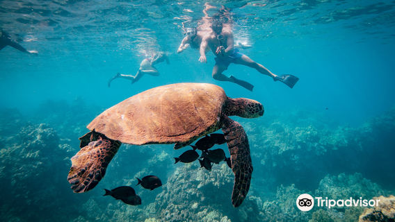 Makena Coast Charters