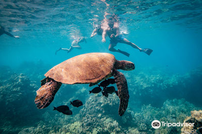 Makena Coast Charters