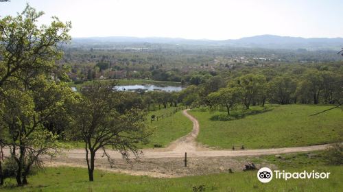 Foothill Regional Park