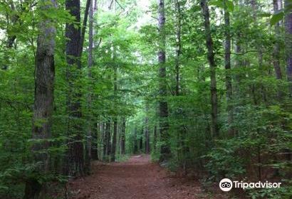 Wall Doxey State Park