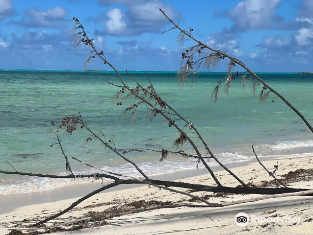Bambarra Beach