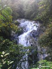 Robinson Falls