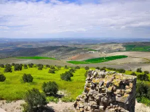 Torreparedones Parque Arqueologico