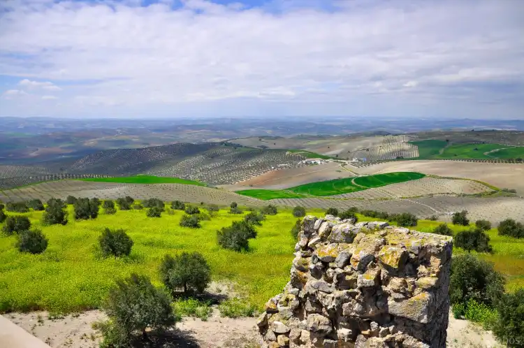 فنادق في Campina de Baena