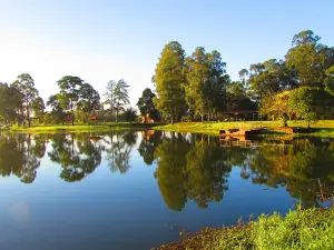 Parque Municipal Sao Jose dos Pinhais