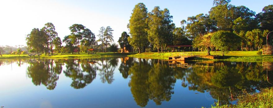 Parque Municipal Sao Jose dos Pinhais