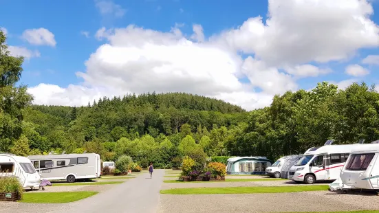 Lucksall Caravan & Camping Park