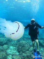 Buceo Les Basetes en Calpe